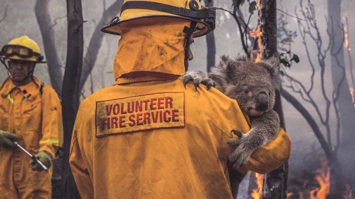 Volunteer Firefighter 1