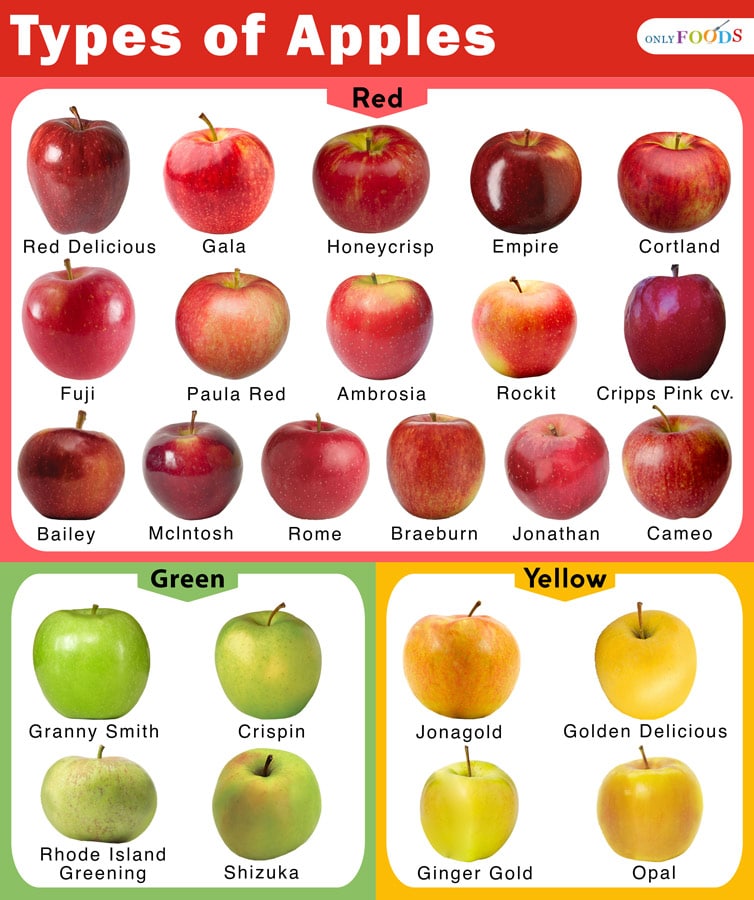 Types of Apples