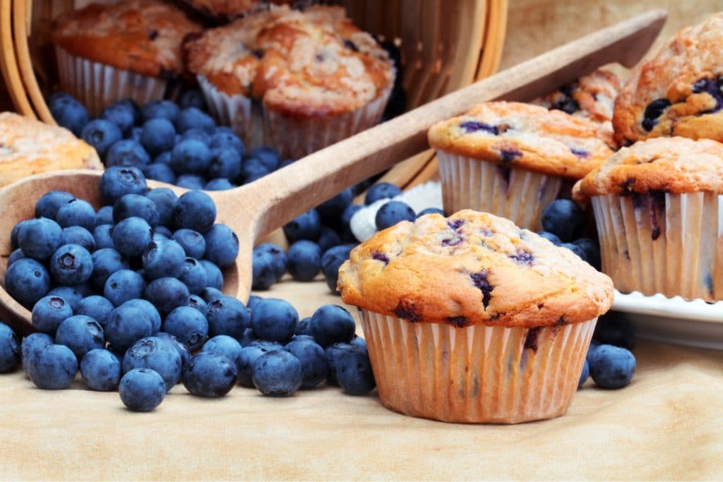 Blueberry Muffin Blog Image