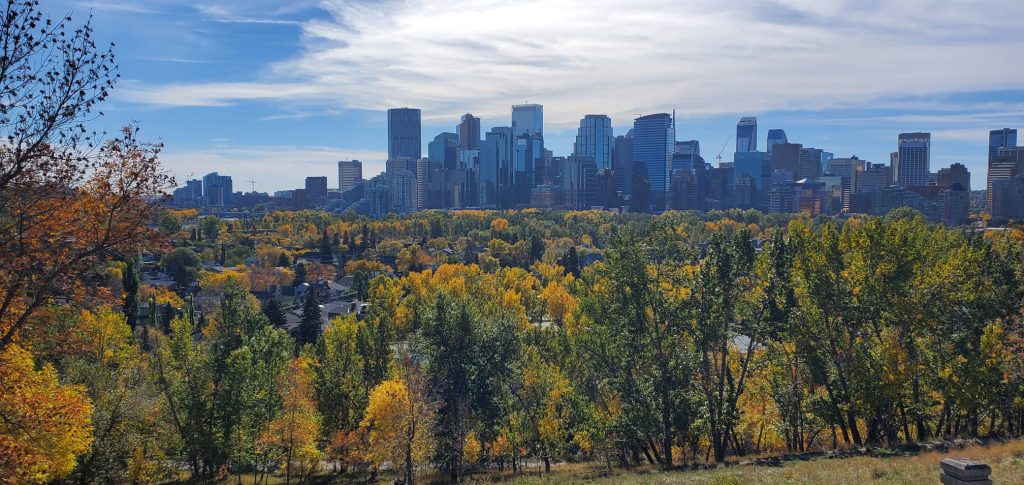 Landscape of Calgary, Alberta featuring dense trees and buildings in the distance. Lanscape de Calgary, en Alberta, avec des arbres denses et des bâtiments au loin.