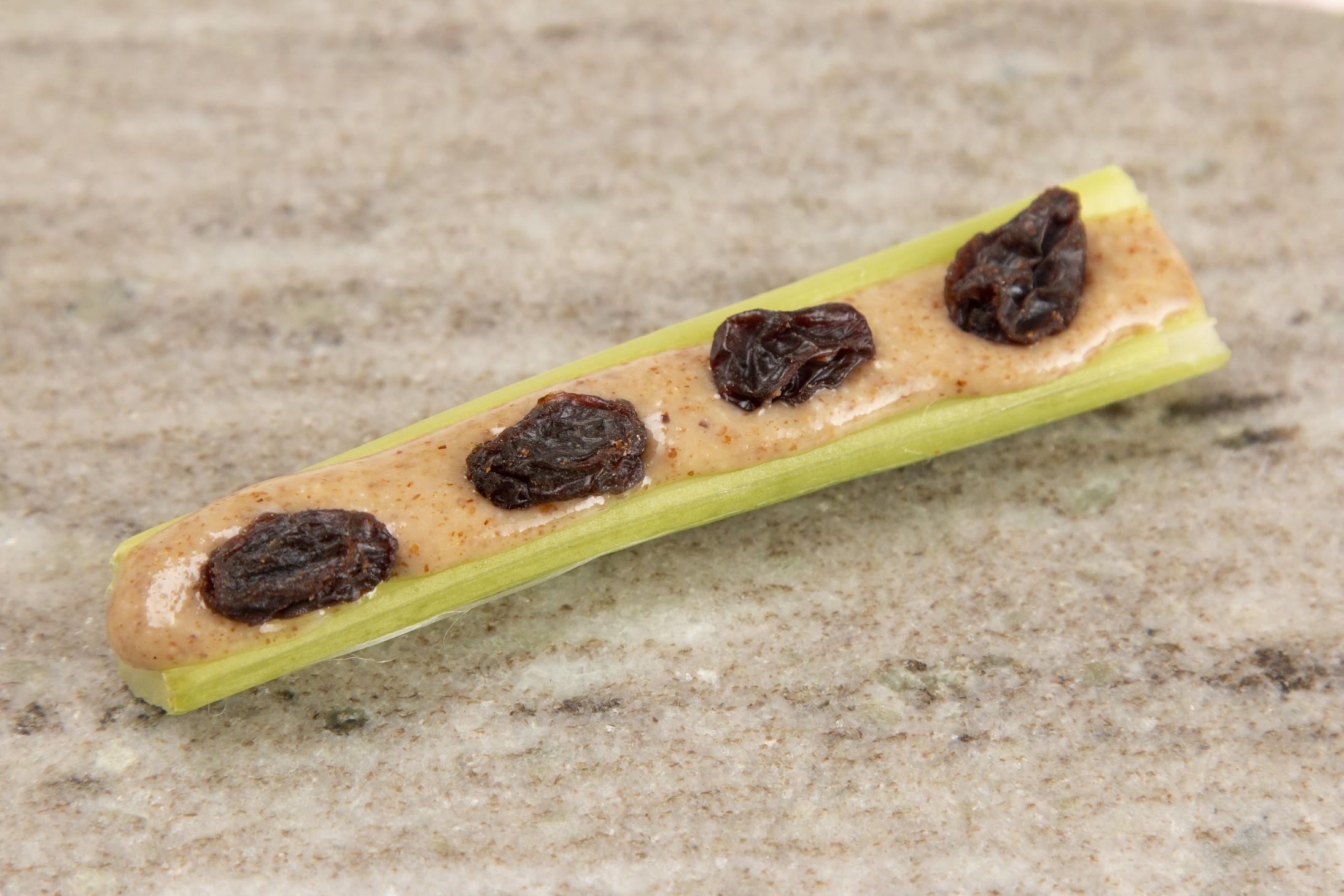 Ants on a Log and Other Fun Kid Snacks for your Small Anteaters