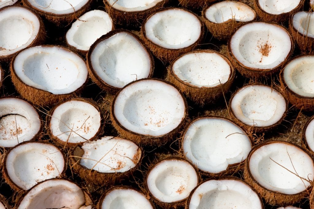 Coconut Desserts Blog Image