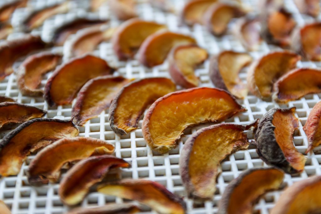 Dehydrated slices of peaches on a dryer, perfect for keeping