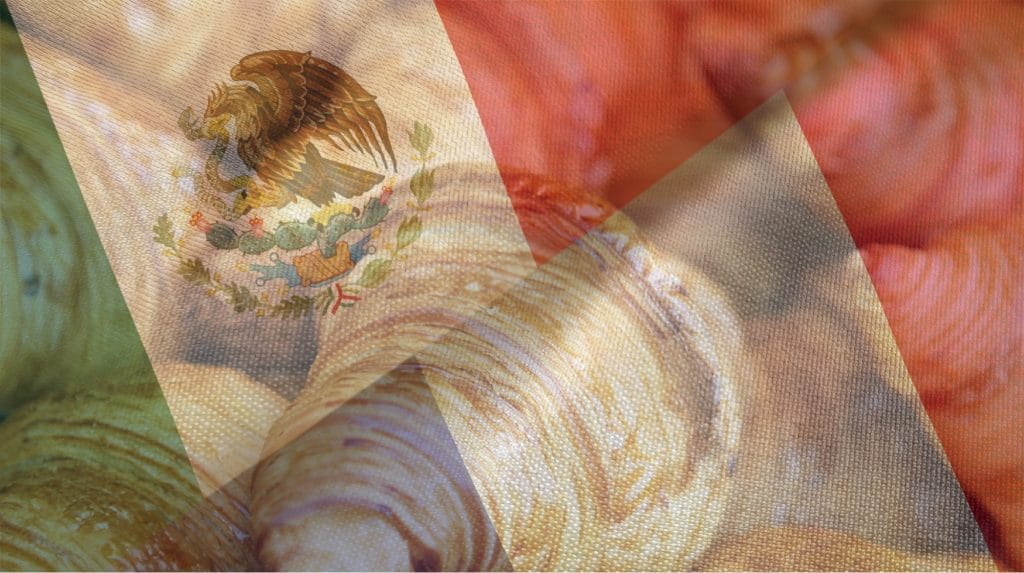 French Mexican Pastry War Blog Image. Image du blog guerre des pâtisseries.