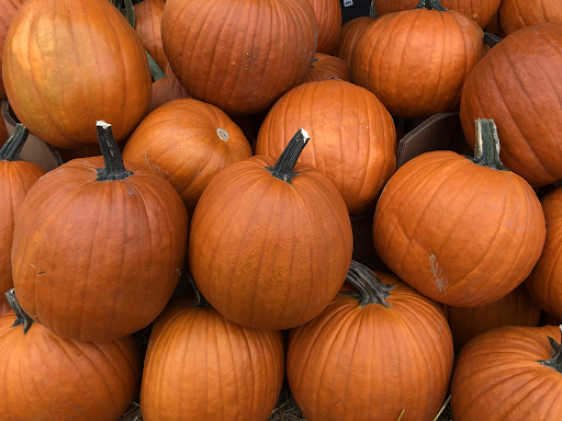 A bundle of ripe pumpkins