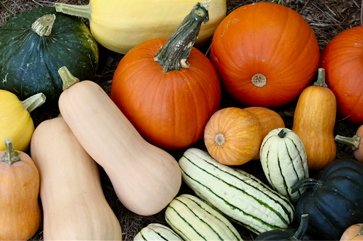 Various gourd species