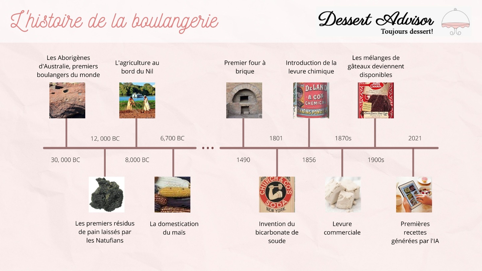 Infographique pour l'histoire de la boulangerie