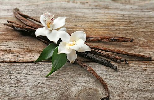 Vanilla beans with vanilla blossom on a wooden surface. Gousses de vanille avec fleur de vanille sur une surface en bois.