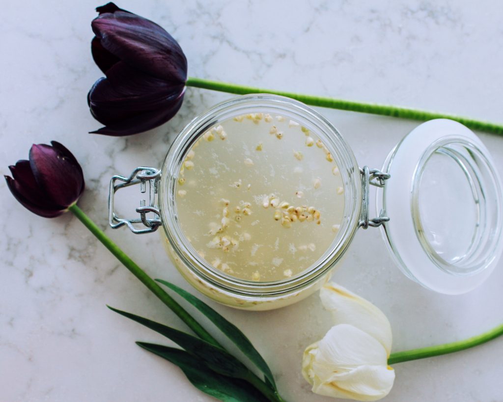 Rejuvelac live culture in a mason jar with the sprouted grain floating, surrounded by roses. Rajeunir la culture vivante dans un pot maçon avec le grain germé flottant, entouré de roses