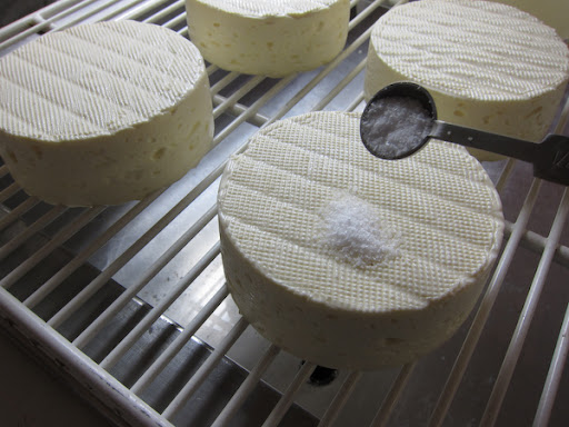 A few blocks of camembert on a drying rack during one of the lactic starter additions