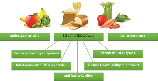 Phytochemicals have: Antioxidant activity, cancer preventing compounds, DNA replications interference, anti-bacterial effects, nutrient bioavailability reduction, enzyme stimulation, and they act as hormones