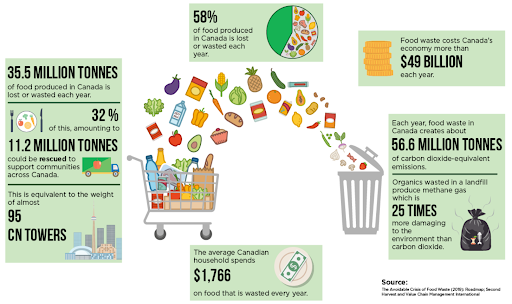 Canadas Food Waste