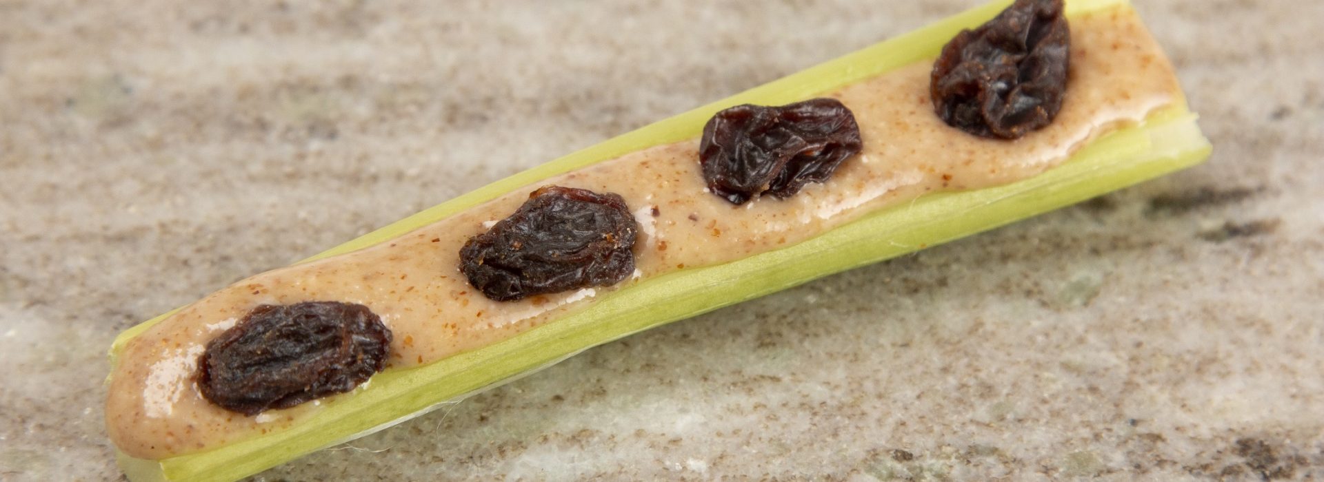 Ants on a Log and Other Fun Kid Snacks for your Small Anteaters
