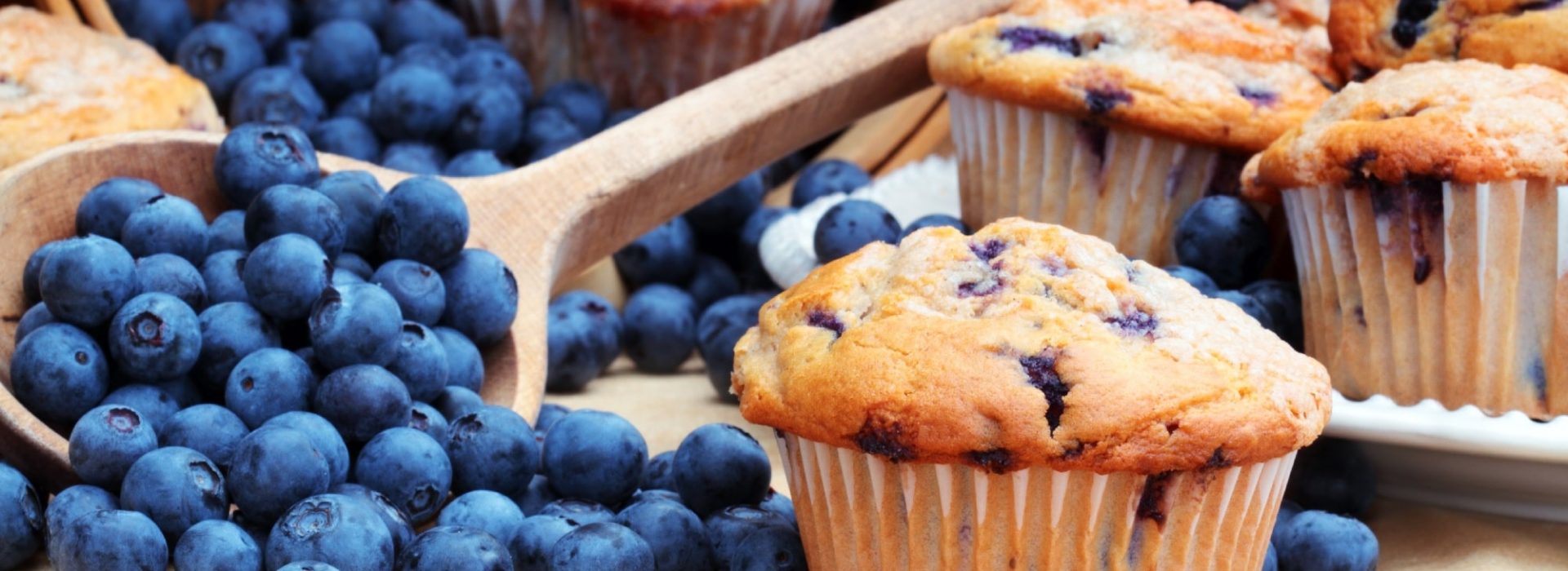 Blueberry Muffin Blog Image