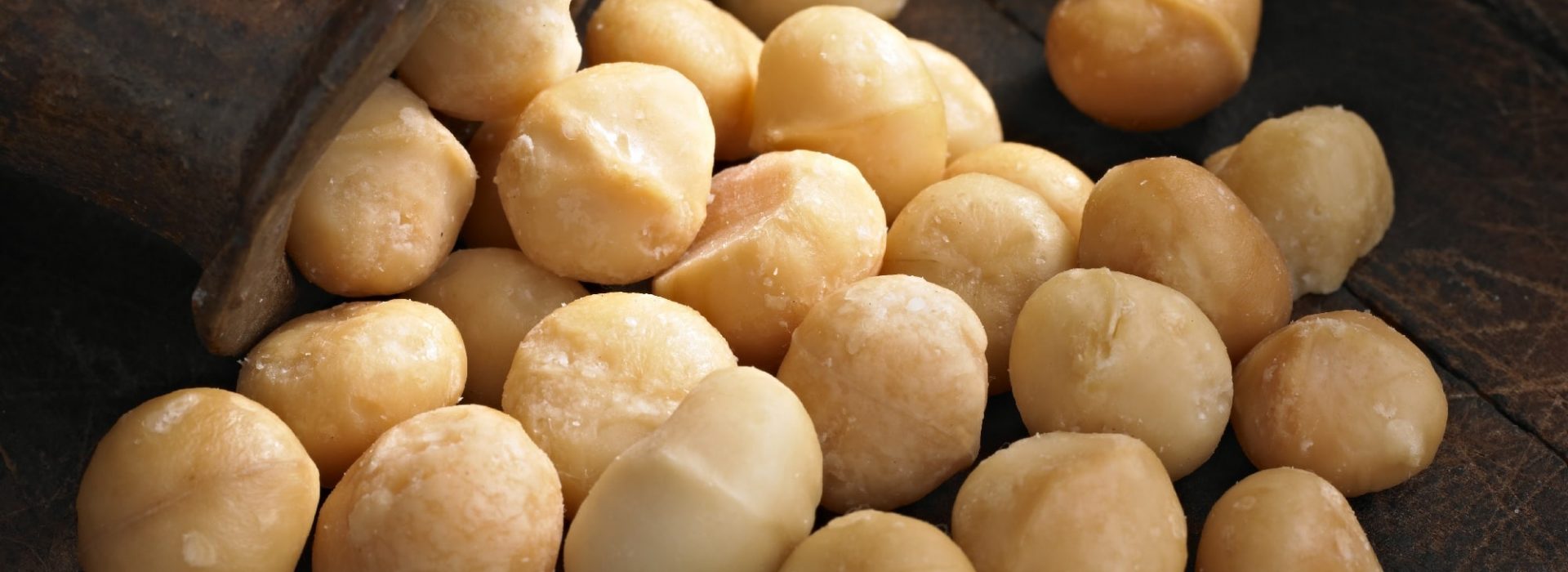 Macadamia Nuts Blog Image